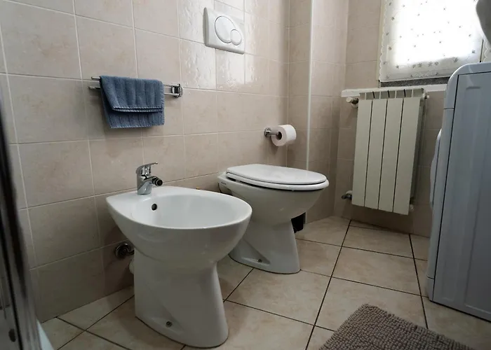 Garibaldi 26 * ستريزا